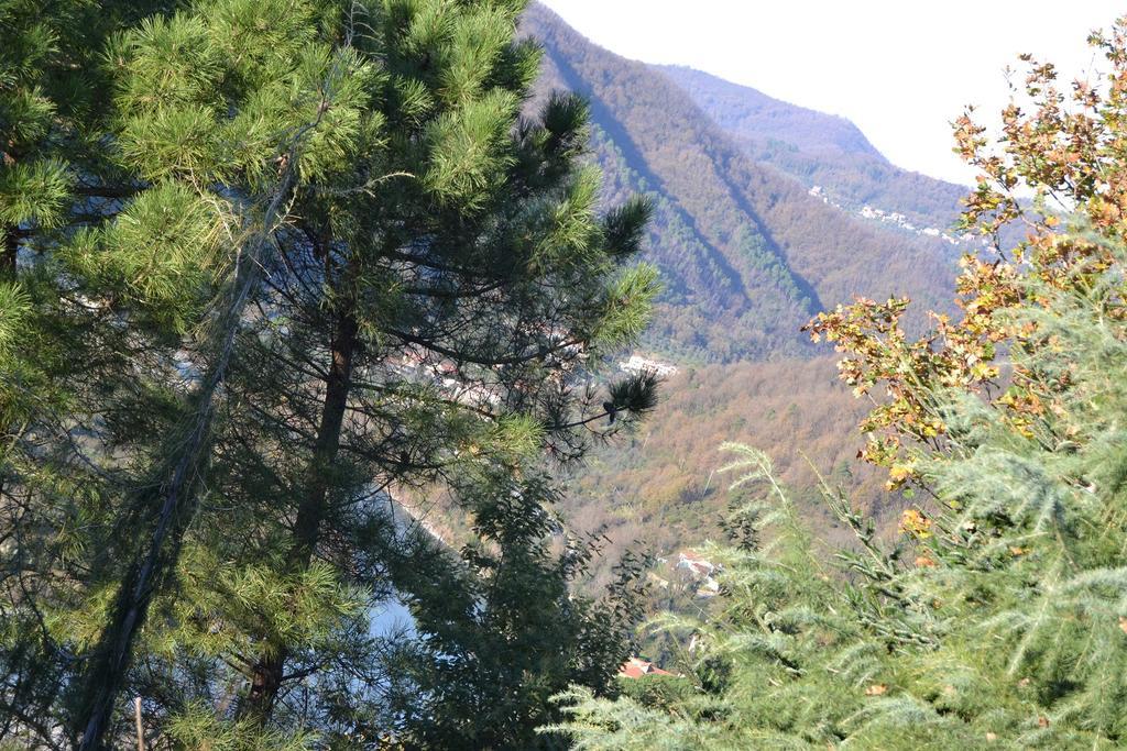 Toscana Nord Ovest - Tra La Costa Apartments Albiano Magra Zewnętrze zdjęcie