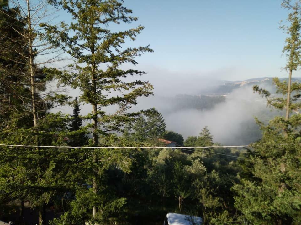 Toscana Nord Ovest - Tra La Costa Apartments Albiano Magra Zewnętrze zdjęcie